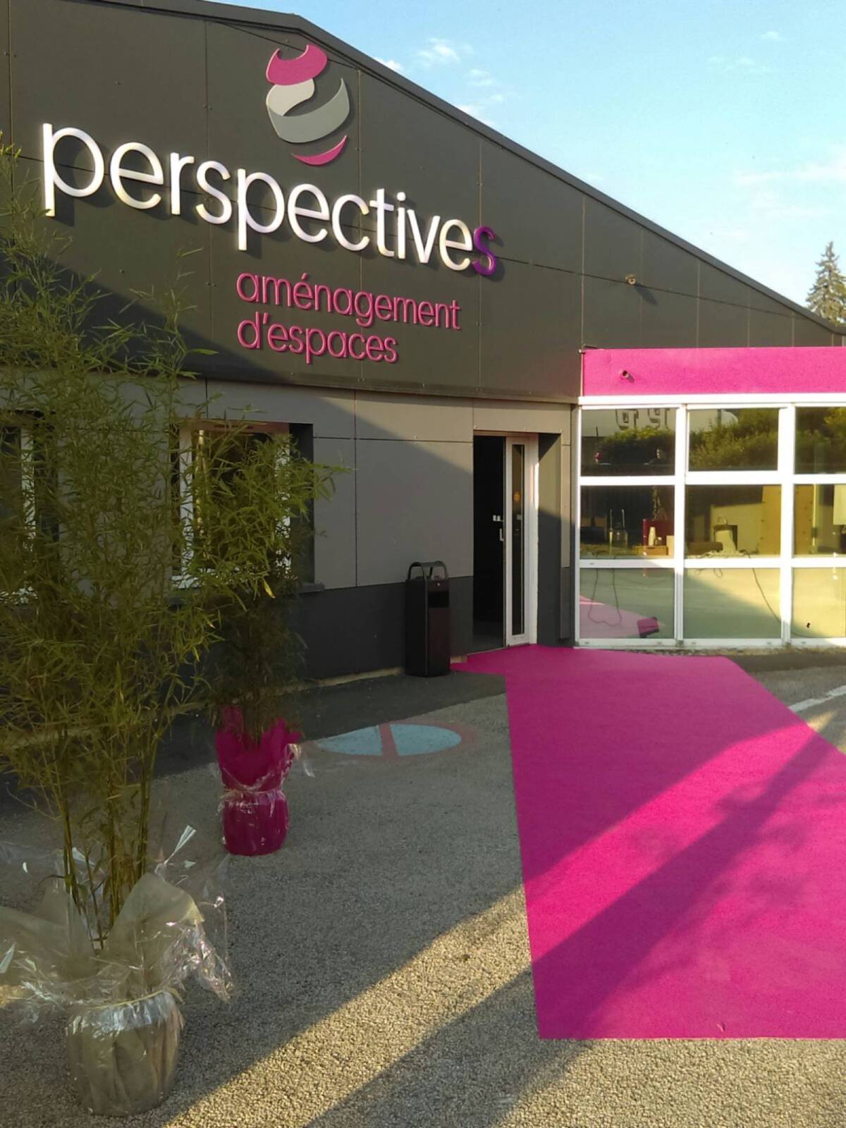 Entrée bureaux Perspectives tapis rose